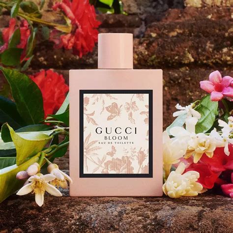 who sells gucci bloom perfume.